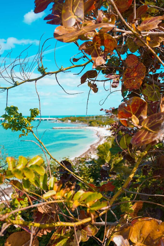 Amazing Aimee - Aimee Albright - Banana Bay Resort And Marina - bahia honda