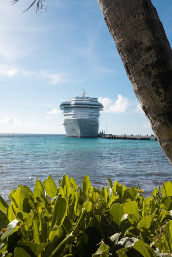 Carnival Freedom - Amazing Aimee - Aimee Albright