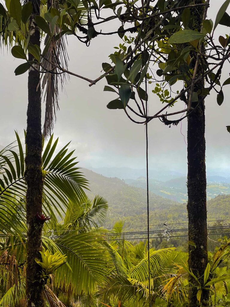 El Yunque Puerto Rico